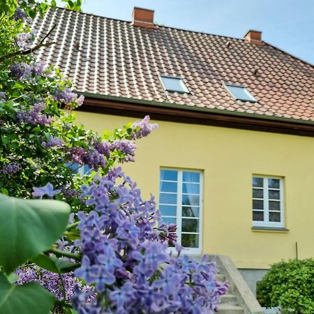 Gutshaus Neu Necheln Bruel Exterior foto
